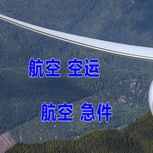 乌审旗嘎鲁图航空快递快递-选东方航空和上海航空