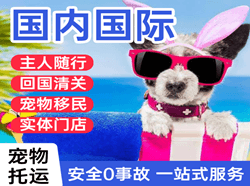 乌审旗嘎鲁图航空快递国际宠物托运 【国